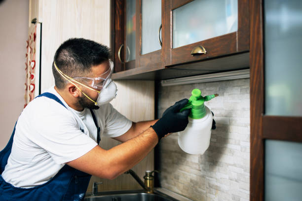 Best Best Pest Control Companies  in Cupertino, CA
