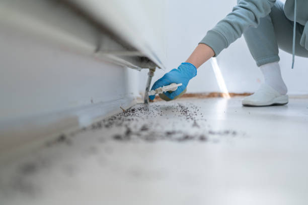 Best Pest Prevention Services  in Cupertino, CA